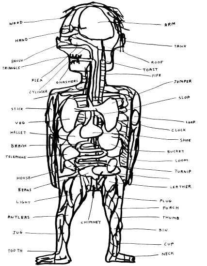 Anatomical Sketch, David Shrigley